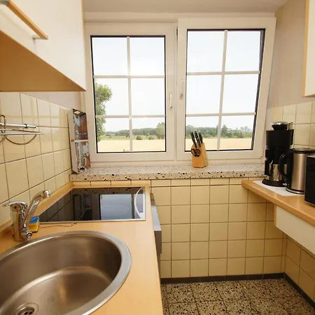 Flieder Dahme (Schleswig-Holstein)